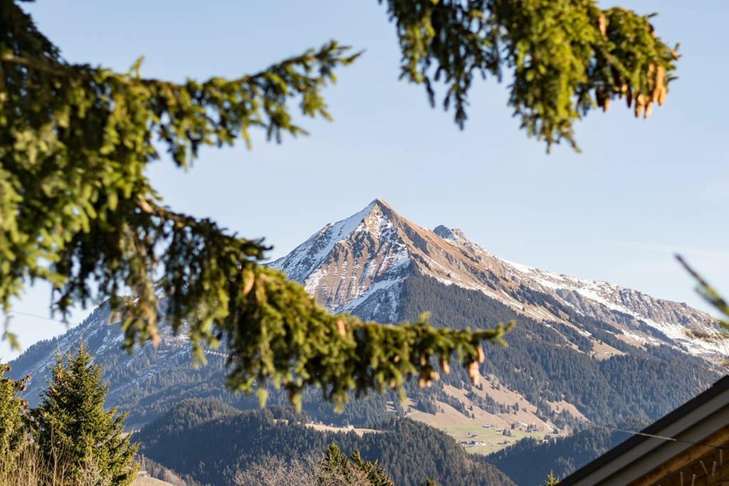La Petite Silene Appartement Leysin Buitenkant foto